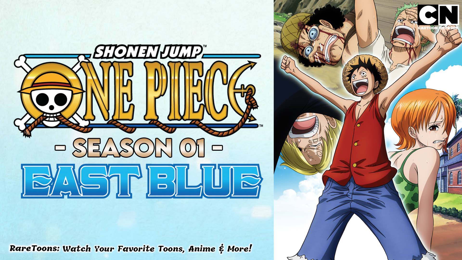 one piece season 01 in hindi rare toons